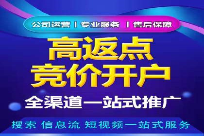 SEM推广实战：案例分析及策略调整